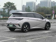 BYD Dolphin smart driving version 410km fashion version - фото 14