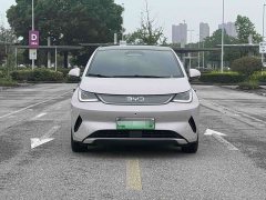 BYD Dolphin smart driving version 410km fashion version - фото 2