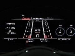 Audi RS 5 RS 5 2.9T Sportback Obsidian Edition - фото 9
