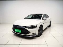Lexus Han 2020 DM four-wheel drive performance version luxury - фото 1