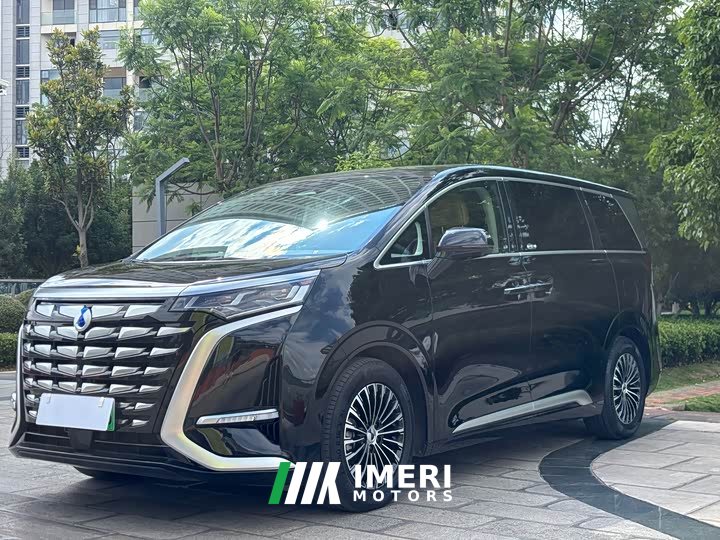 Denza D9 DM-i 1050 exclusive - автомобиль из Китая