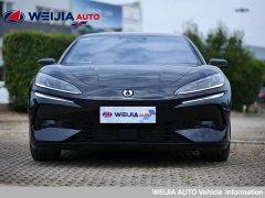 Denza Z9 2024 1100km AWD Ultra - фото 2