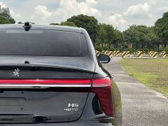 Hongqi H5 2.0T automatic Qichang version - фото 9