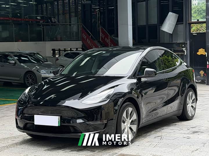 Tesla Model Y standard range rear-wheel drive version - автомобиль из Китая