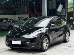 Tesla Model Y standard range rear-wheel drive version - фото 1