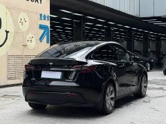 Tesla Model Y standard range rear-wheel drive version - фото 16