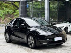 Tesla Model Y standard range rear-wheel drive version - фото 3