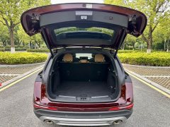Lynk & Co Adventurer 2.0T Two-wheel drive Premium Edition - фото 15