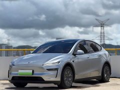 Tesla Model Y L long-range all-wheel drive version - фото 1