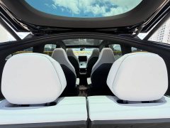 Tesla Model Y L long-range all-wheel drive version - фото 19