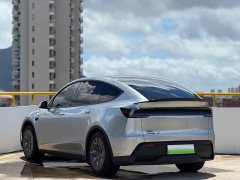 Tesla Model Y L long-range all-wheel drive version - фото 6