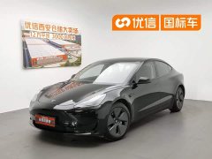 Tesla Model 3 Standard Range Rear Drive Upgraded Version - фото 1