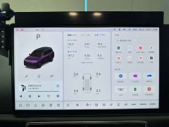 Li Auto Ideal L9 2022 Max - фото 12