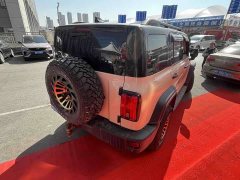 Tank 300 Off-Road Version 2.0T Conqueror - фото 3