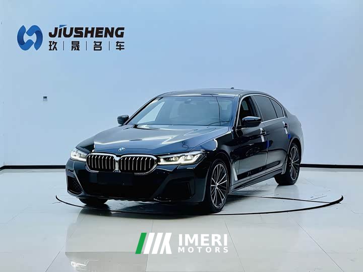 BMW 5 Series 530Li Leading M Sports Package - автомобиль из Китая