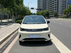 BYD Dolphin smart driving version 410km fashion version - фото 2