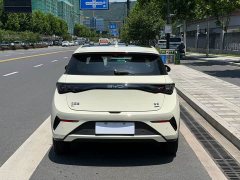 BYD Dolphin smart driving version 410km fashion version - фото 4