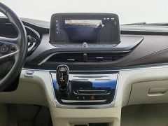 Buick GL8 Land Business Class 652T Luxury - фото 12