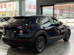 Mazda CX-30 2.0L automatic Yayue type - фото 14
