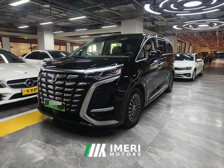 Denza D9 DM-i 965 exclusive