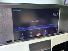 Lexus LM 2020 300h four-seat Royal Edition - фото 19