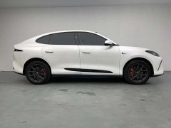 Lexus Zhiji LS6 Max Standard Edition - фото 10