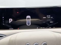 Lexus Zhiji LS6 Max Standard Edition - фото 13