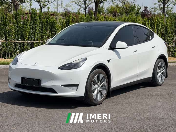 Tesla Model Y long-range all-wheel drive version - автомобиль из Китая
