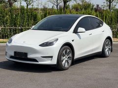 Tesla Model Y long-range all-wheel drive version - фото 1