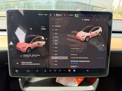 Tesla Model Y long-range all-wheel drive version - фото 15