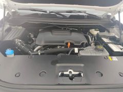 Haval H9 2024 2.0T gasoline four-wheel drive extreme version - фото 10