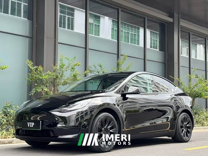 Tesla Model Y rear-wheel drive version - автомобиль из Китая