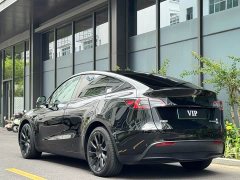 Tesla Model Y rear-wheel drive version - фото 14
