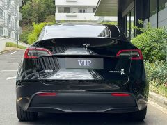 Tesla Model Y rear-wheel drive version - фото 15