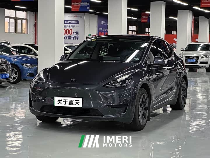 Tesla Model Y rear-wheel drive version - автомобиль из Китая