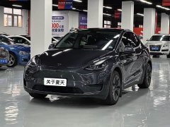 Tesla Model Y rear-wheel drive version - фото 1