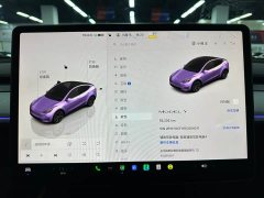 Tesla Model Y rear-wheel drive version - фото 11