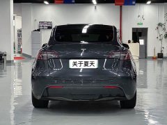 Tesla Model Y rear-wheel drive version - фото 12