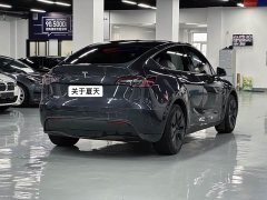 Tesla Model Y rear-wheel drive version - фото 13