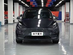 Tesla Model Y rear-wheel drive version - фото 2