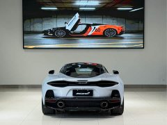 Mercedes-Benz McLaren GT 2022 4.0T standard - фото 4