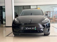 Tesla Model Y rear-wheel drive version - фото 1