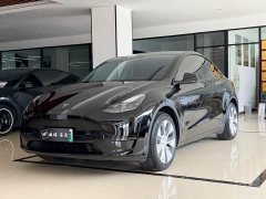 Tesla Model Y rear-wheel drive version - фото 2