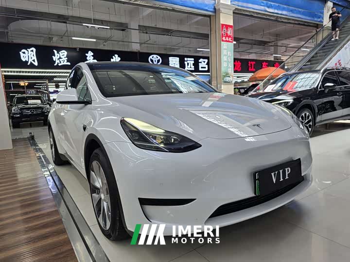 Tesla Model Y rear-wheel drive version - автомобиль из Китая
