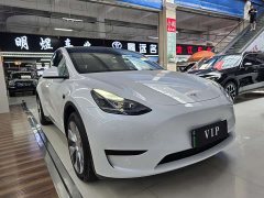 Tesla Model Y rear-wheel drive version - фото 1