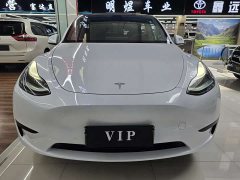 Tesla Model Y rear-wheel drive version - фото 2
