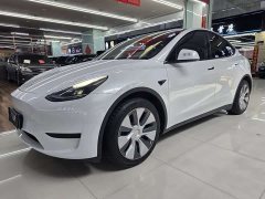 Tesla Model Y rear-wheel drive version - фото 3