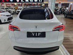 Tesla Model Y rear-wheel drive version - фото 6