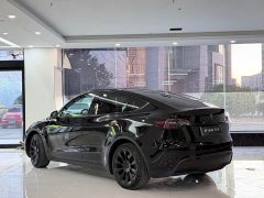 Tesla Model 3 2022 rear-wheel drive version - фото 3