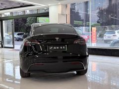 Tesla Model 3 2022 rear-wheel drive version - фото 4